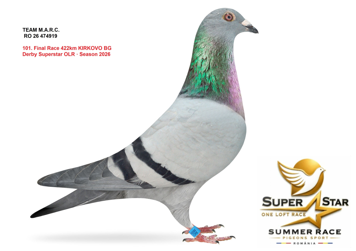 Derby Super Star OLR Summer 2026 part 5