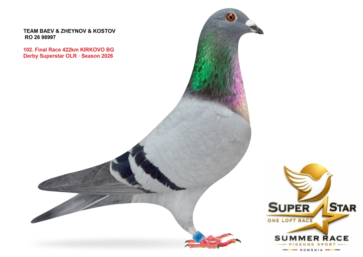 Derby Super Star OLR Summer 2026 part 5