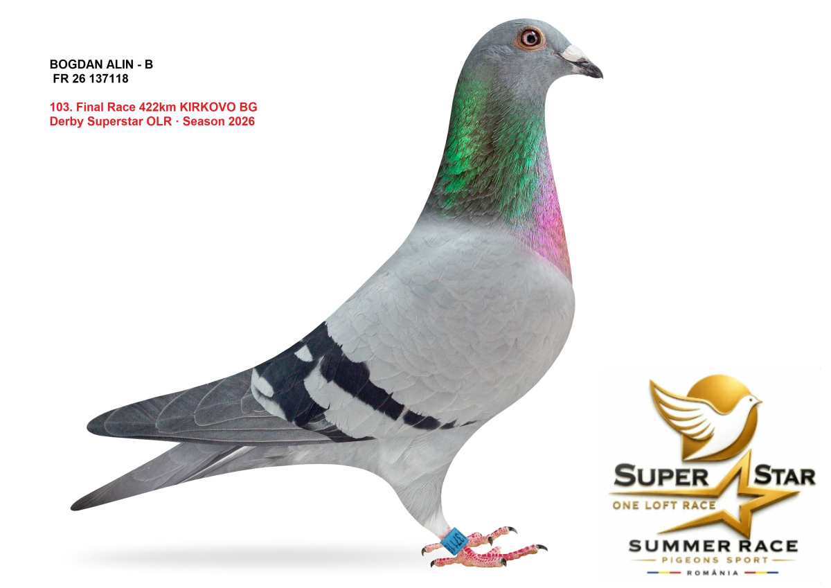 Derby Super Star OLR Summer 2026 part 5