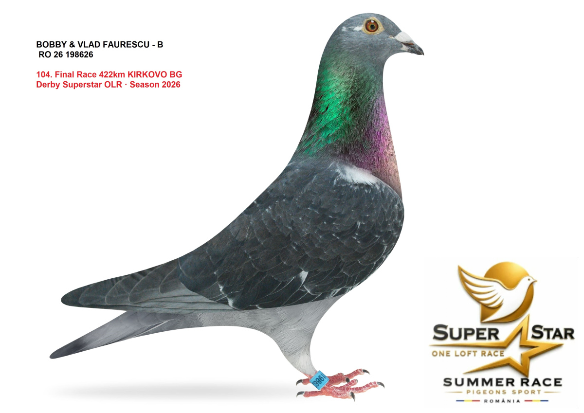 Derby Super Star OLR Summer 2026 part 5