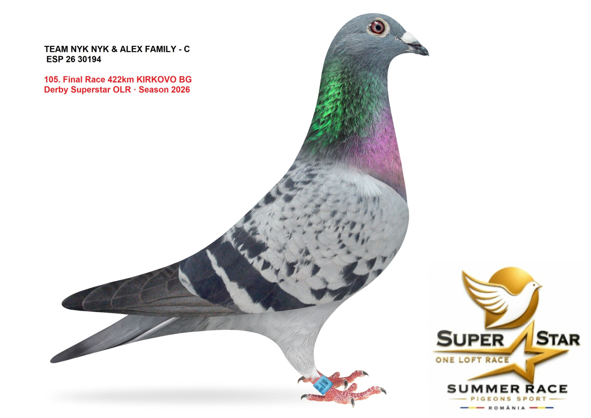 Derby Super Star OLR Summer 2026 part 5
