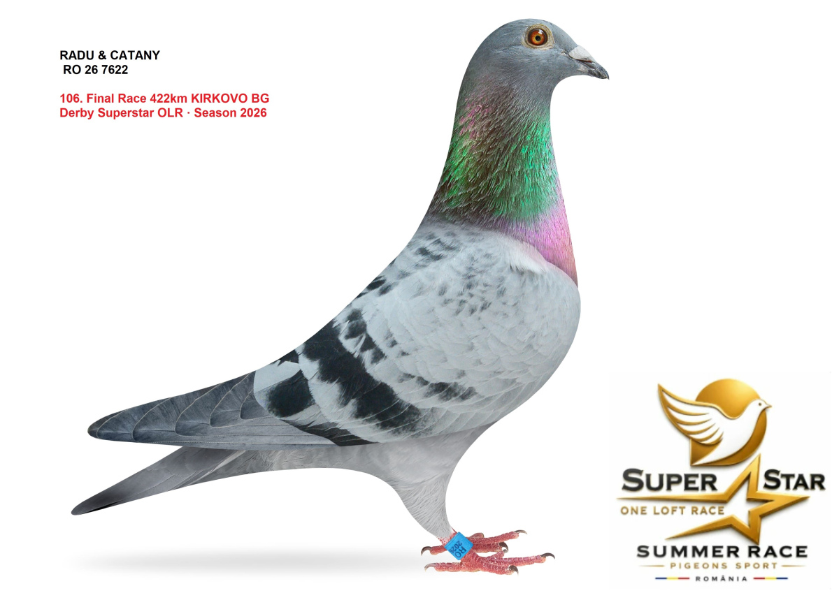 Derby Super Star OLR Summer 2026 part 5