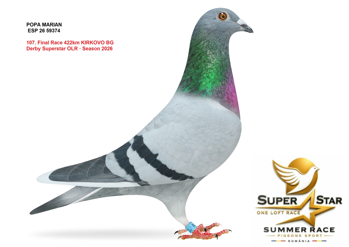 Derby Super Star OLR Summer 2026 part 5