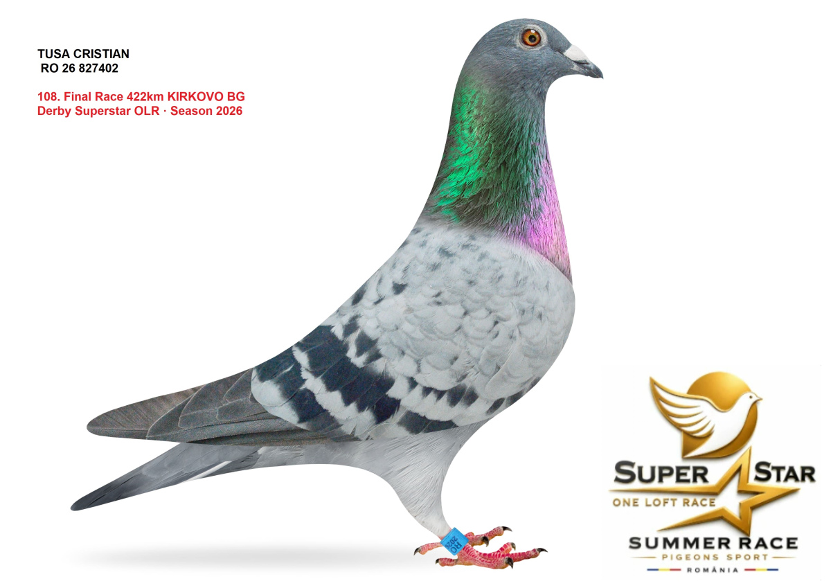 Derby Super Star OLR Summer 2026 part 5