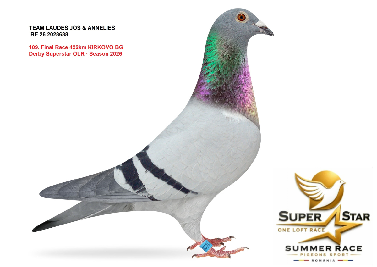 Derby Super Star OLR Summer 2026 part 5