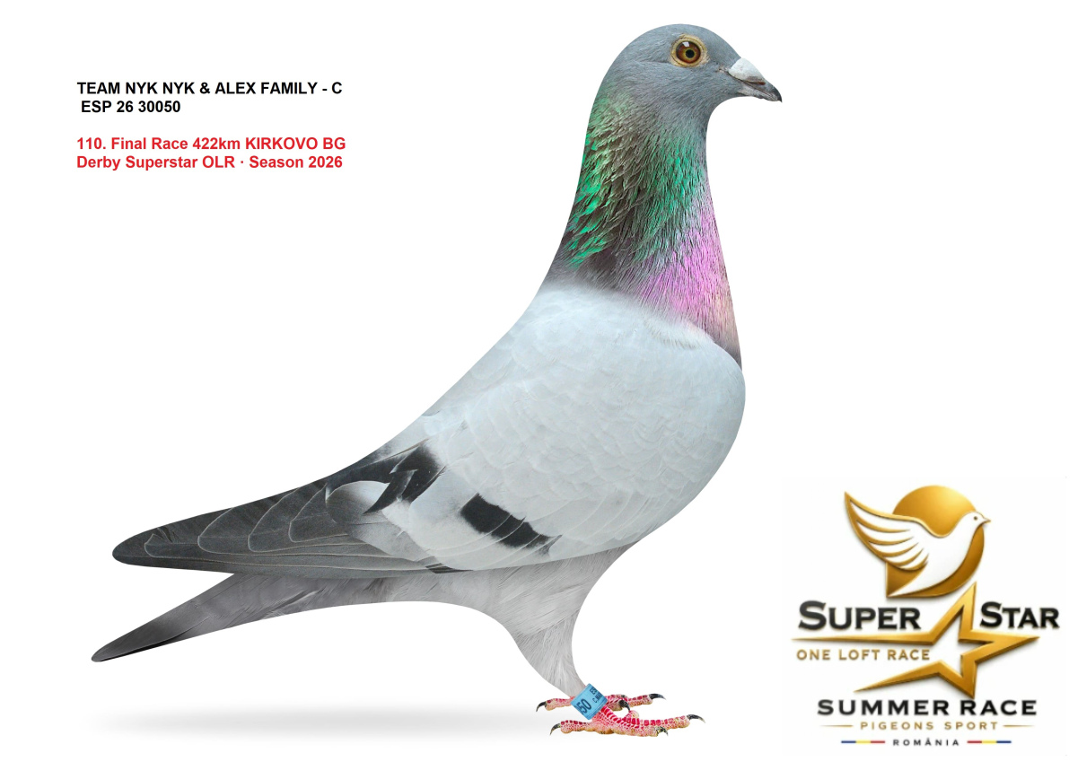 Derby Super Star OLR Summer 2026 part 5