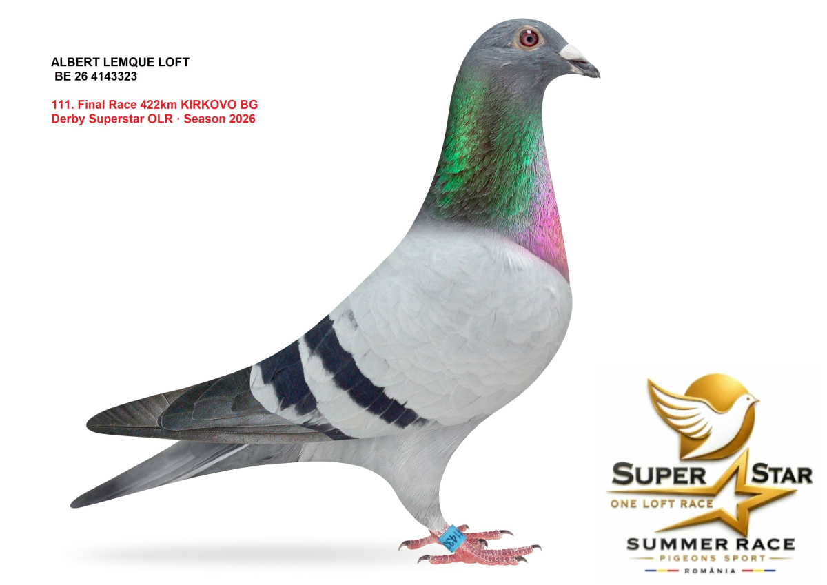 Derby Super Star OLR Summer 2026 part 5