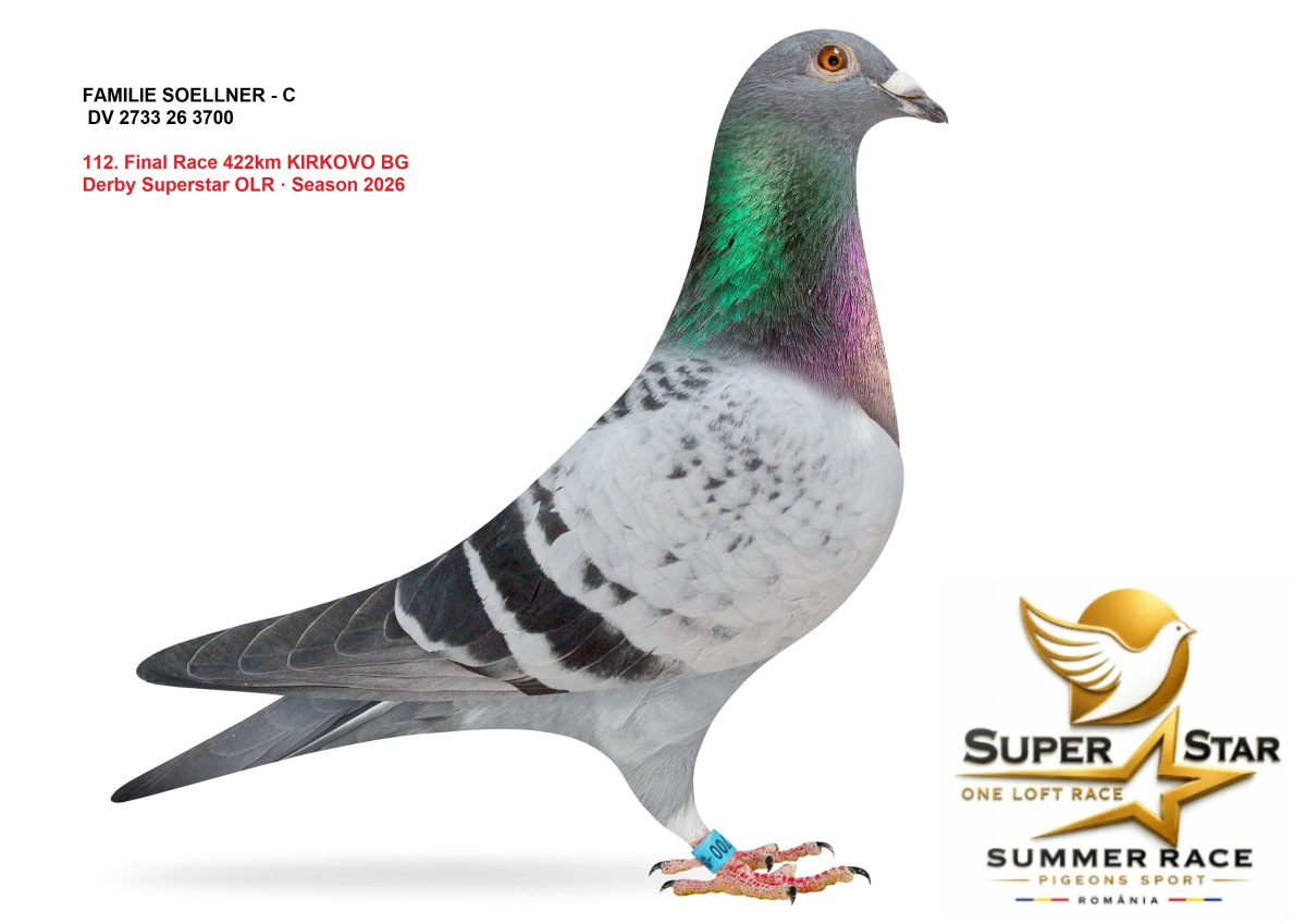 Derby Super Star OLR Summer 2026 part 5