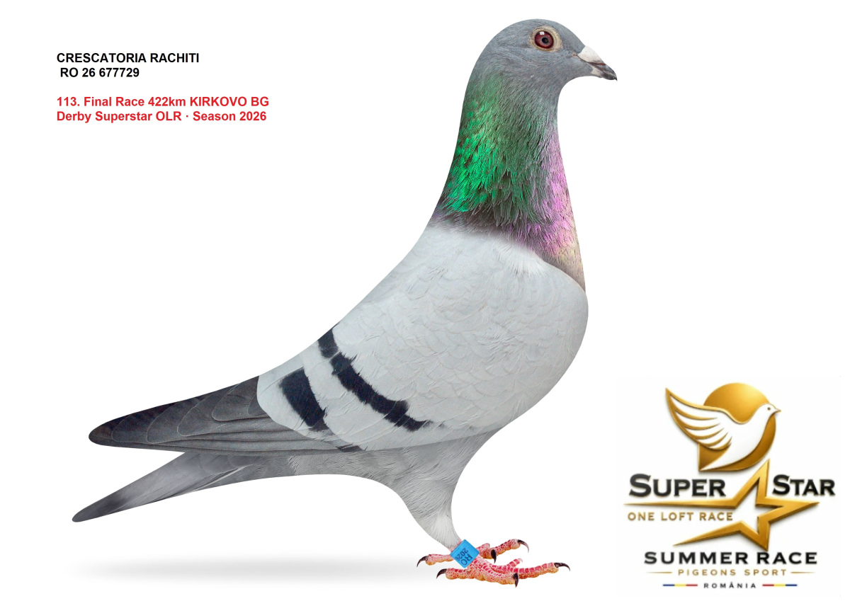 Derby Super Star OLR Summer 2026 part 5