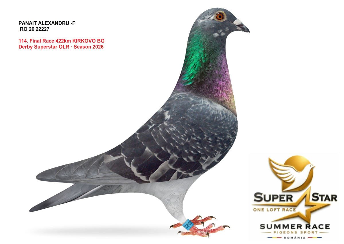 Derby Super Star OLR Summer 2026 part 5