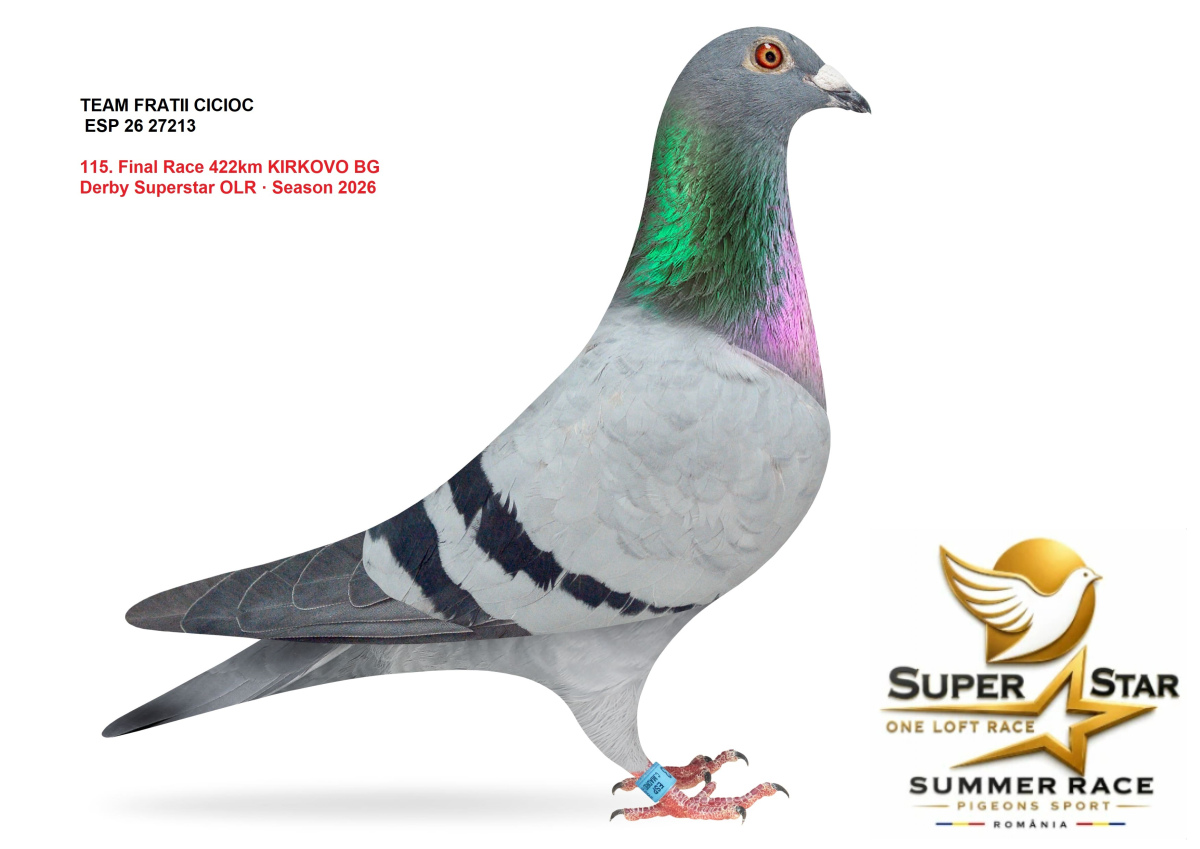 Derby Super Star OLR Summer 2026 part 5