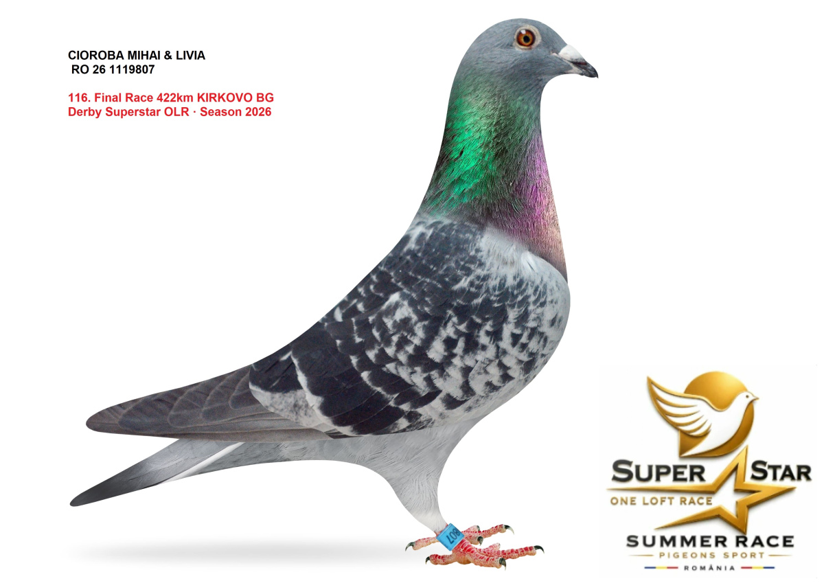 Derby Super Star OLR Summer 2026 part 5