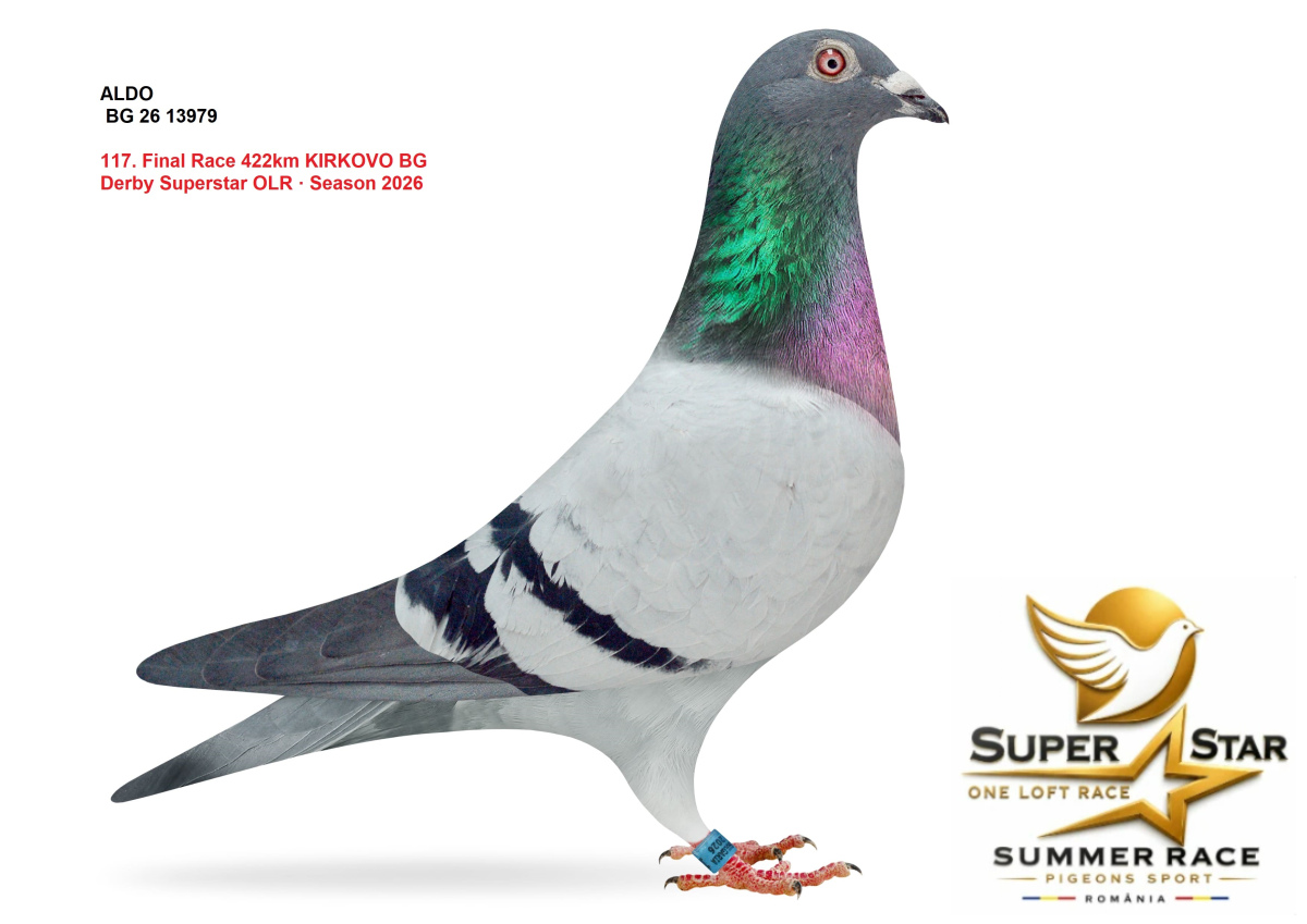 Derby Super Star OLR Summer 2026 part 5