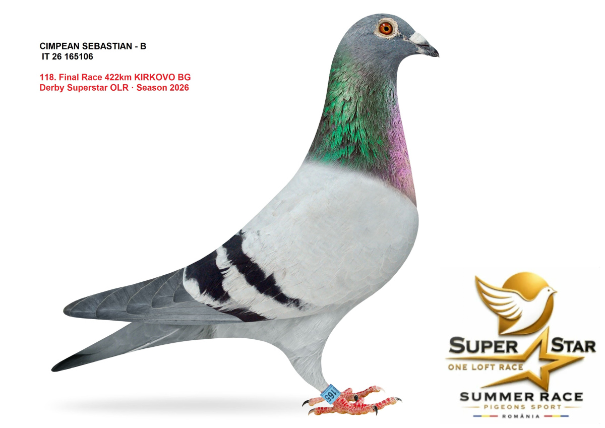 Derby Super Star OLR Summer 2026 part 5