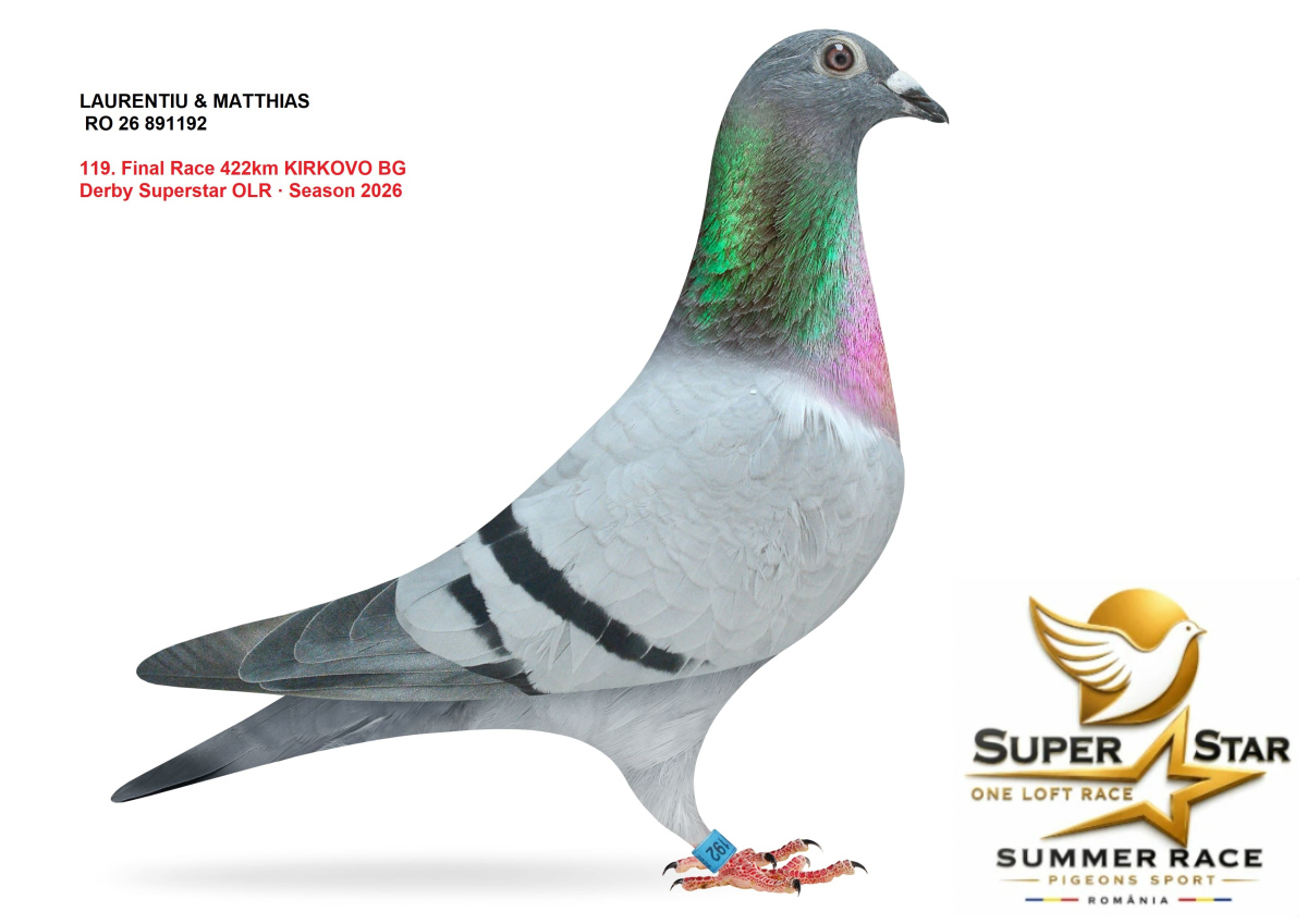 Derby Super Star OLR Summer 2026 part 5