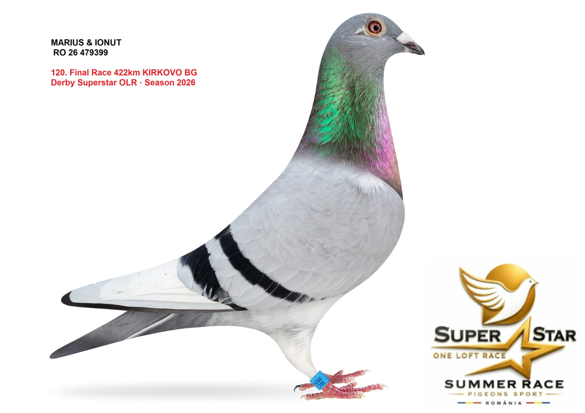 Derby Super Star OLR Summer 2026 part 5