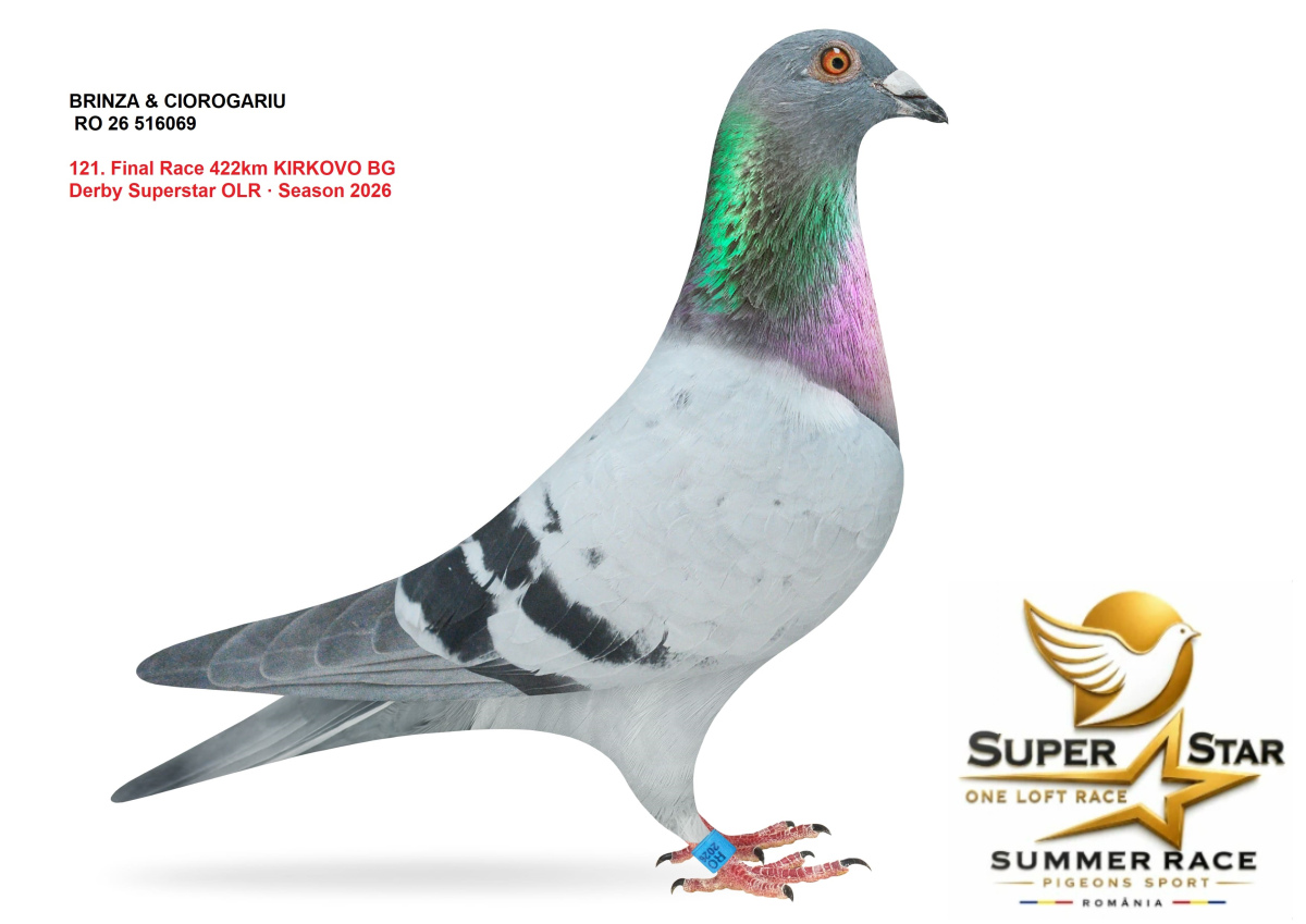 Derby Super Star OLR Summer 2026 part 6
