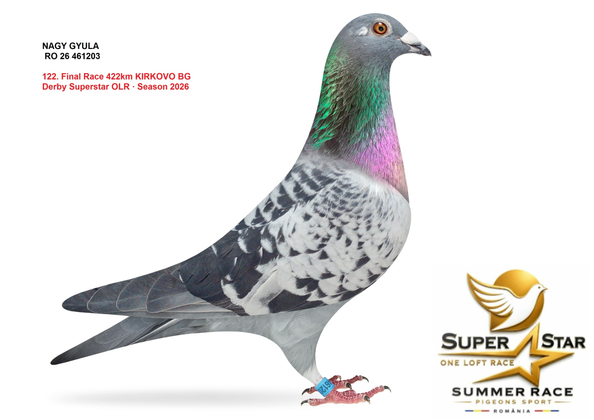 Derby Super Star OLR Summer 2026 part 6