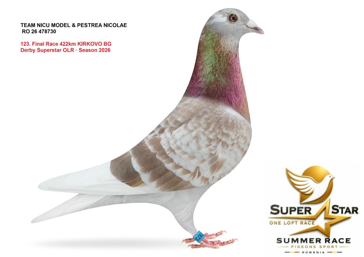Derby Super Star OLR Summer 2026 part 6
