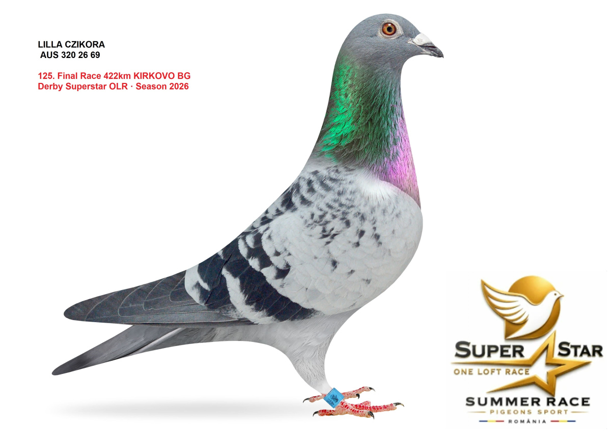 Derby Super Star OLR Summer 2026 part 6