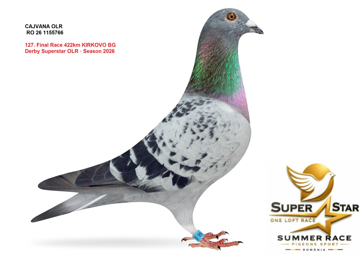 Derby Super Star OLR Summer 2026 part 6