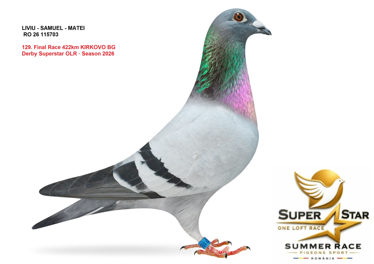 Derby Super Star OLR Summer 2026 part 6