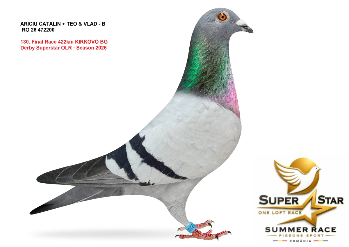 Derby Super Star OLR Summer 2026 part 6