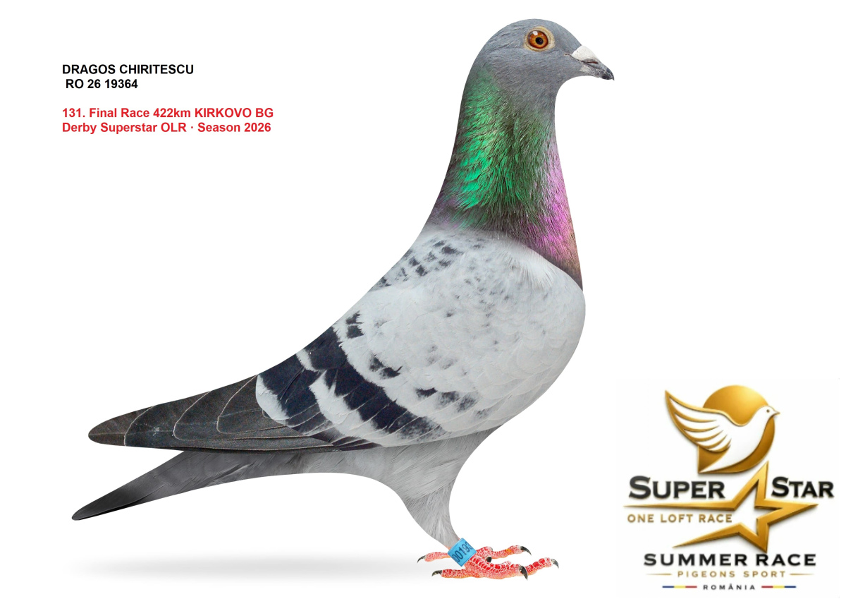 Derby Super Star OLR Summer 2026 part 6