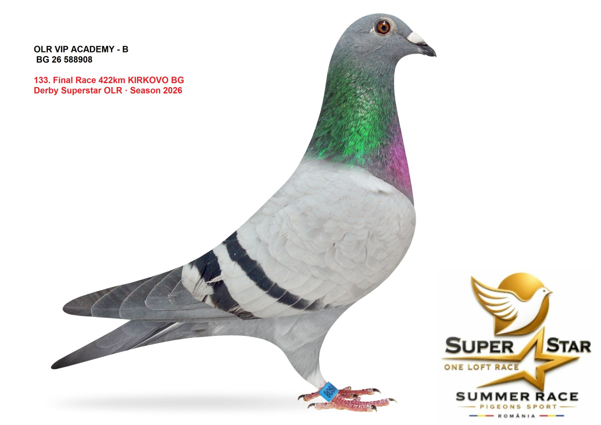 Derby Super Star OLR Summer 2026 part 6