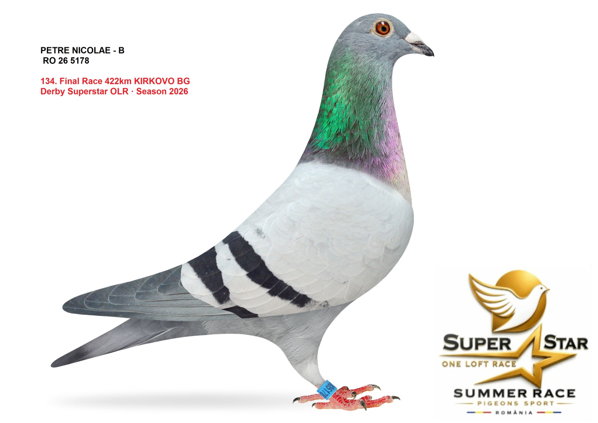 Derby Super Star OLR Summer 2026 part 6