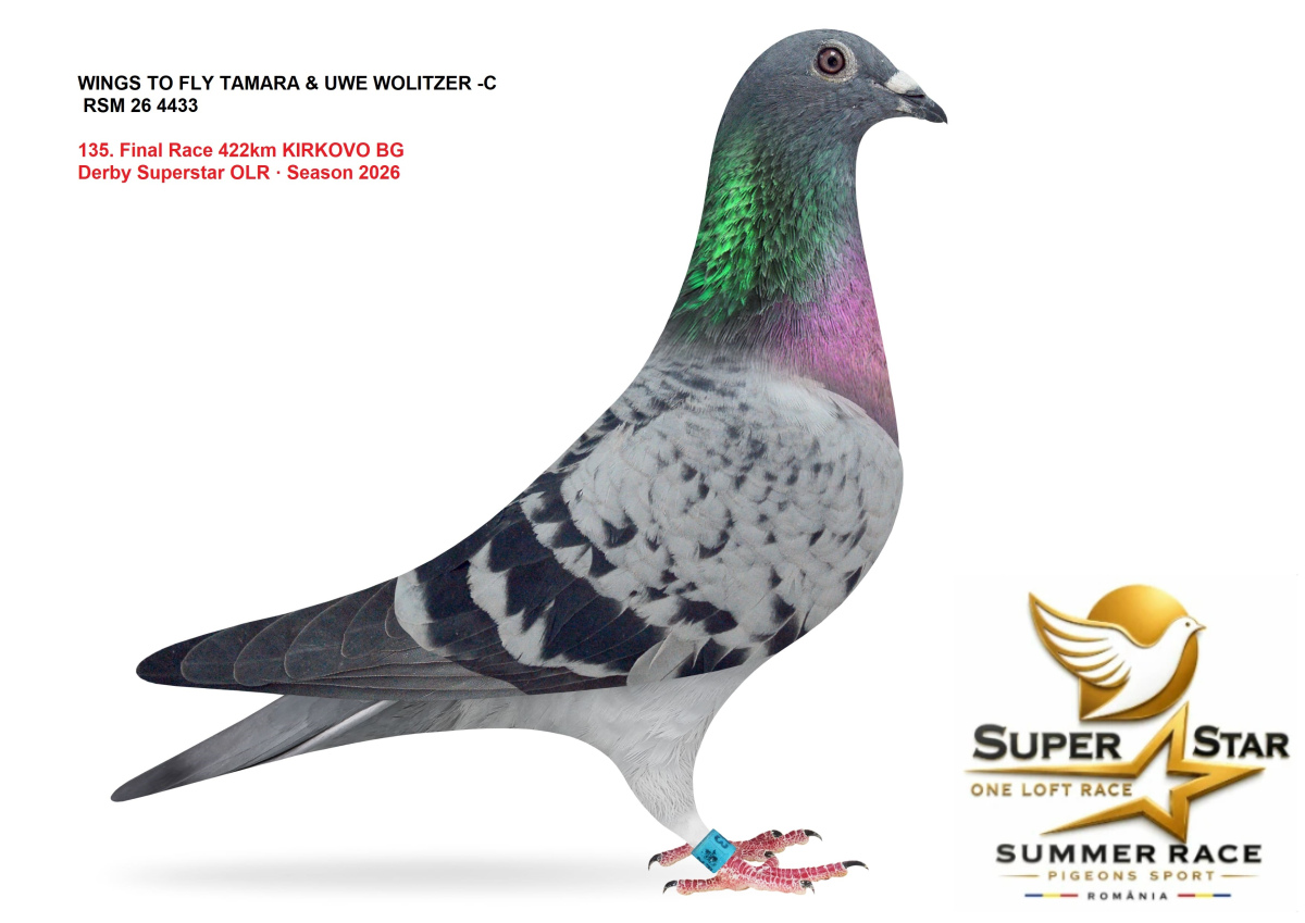 Derby Super Star OLR Summer 2026 part 6
