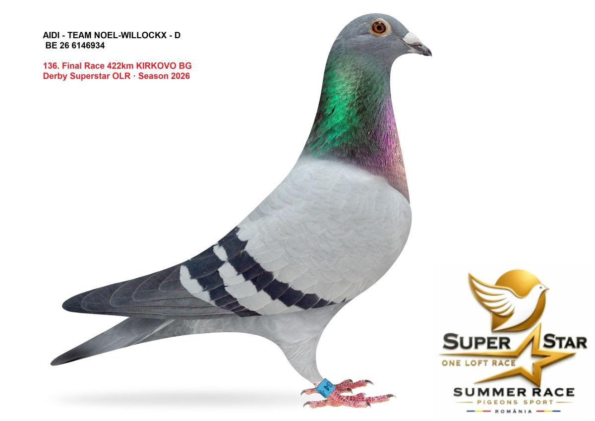Derby Super Star OLR Summer 2026 part 6