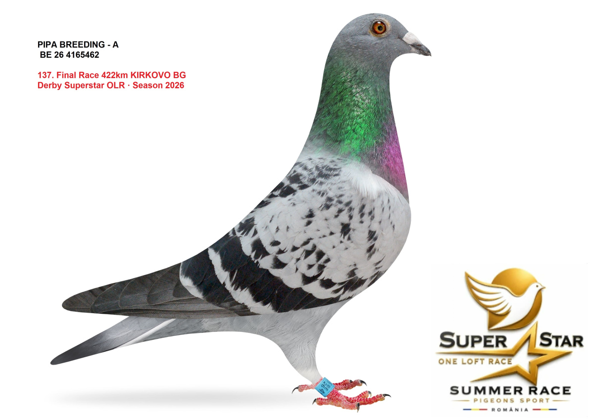 Derby Super Star OLR Summer 2026 part 6
