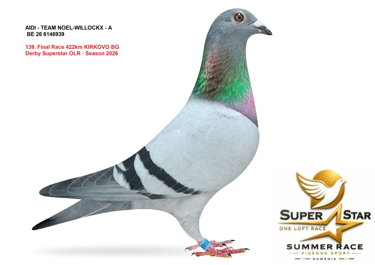 Derby Super Star OLR Summer 2026 part 6