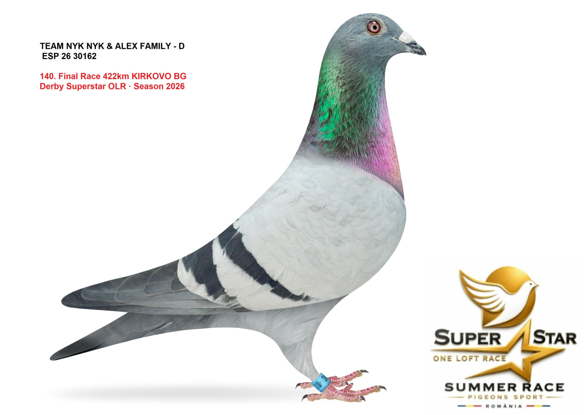 Derby Super Star OLR Summer 2026 part 6